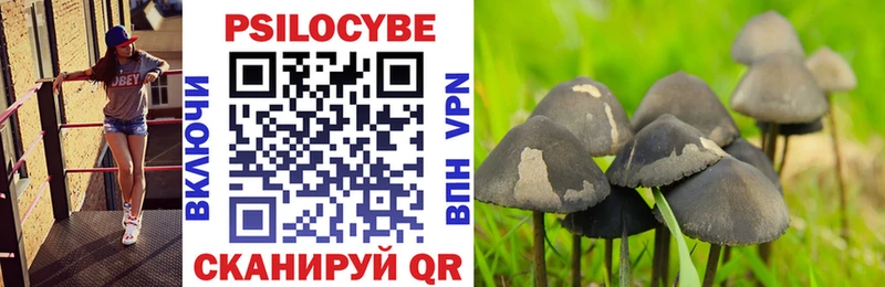 Галлюциногенные грибы MAGIC MUSHROOMS  ОМГ ОМГ зеркало  Лобня 