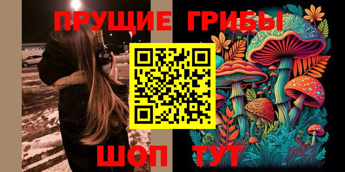 Псилоцибиновые грибы GOLDEN TEACHER Лобня
