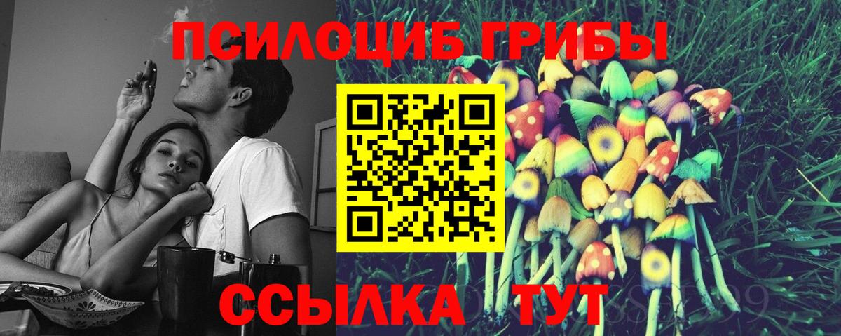 Псилоцибиновые грибы Cubensis  Галлюциногенные грибы прущие грибы  Лобня  Вход с VPN 